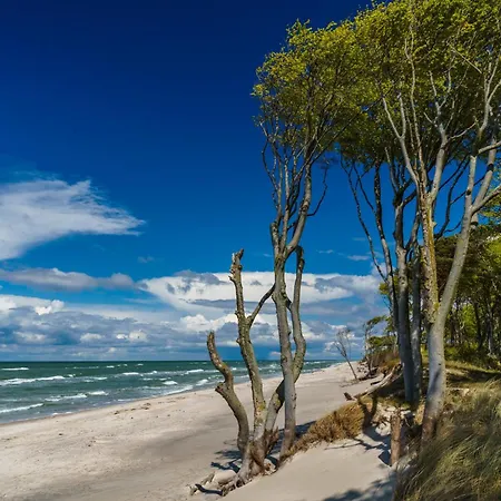 Whg 17 - De Muegg Apartament *